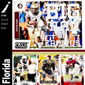 Florida State Seminoles 4 Card Lot - CFTBL [2_4_2]